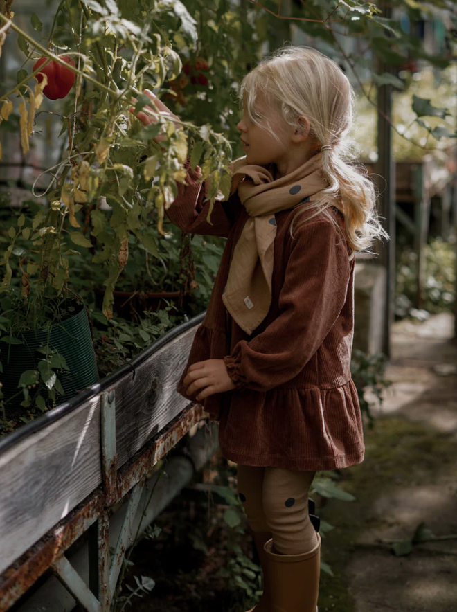 Cinnamon Picnic Dress